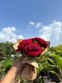 Mini Rose Trio in Kraft Wrap
