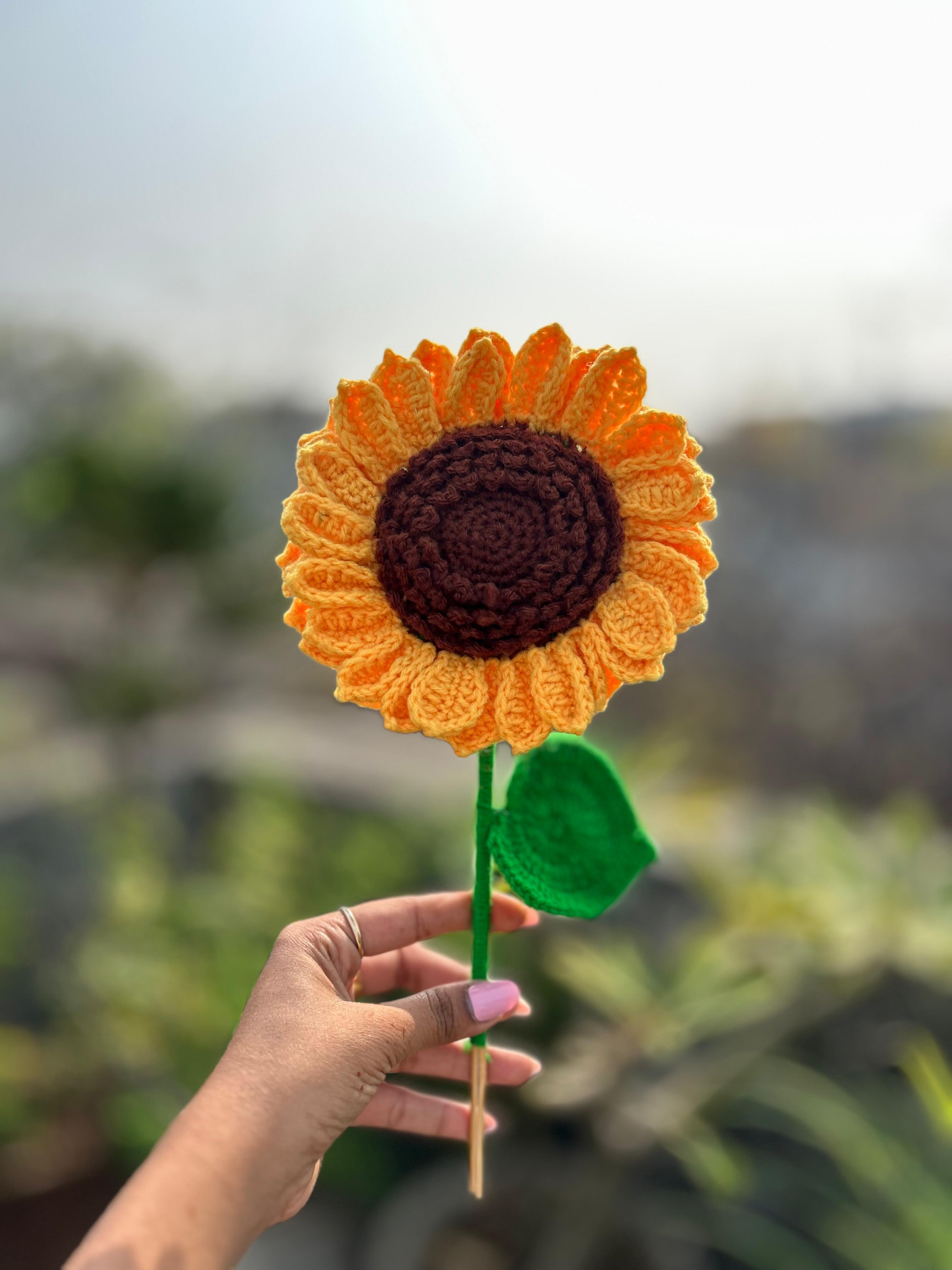 Single Sunflower Stem