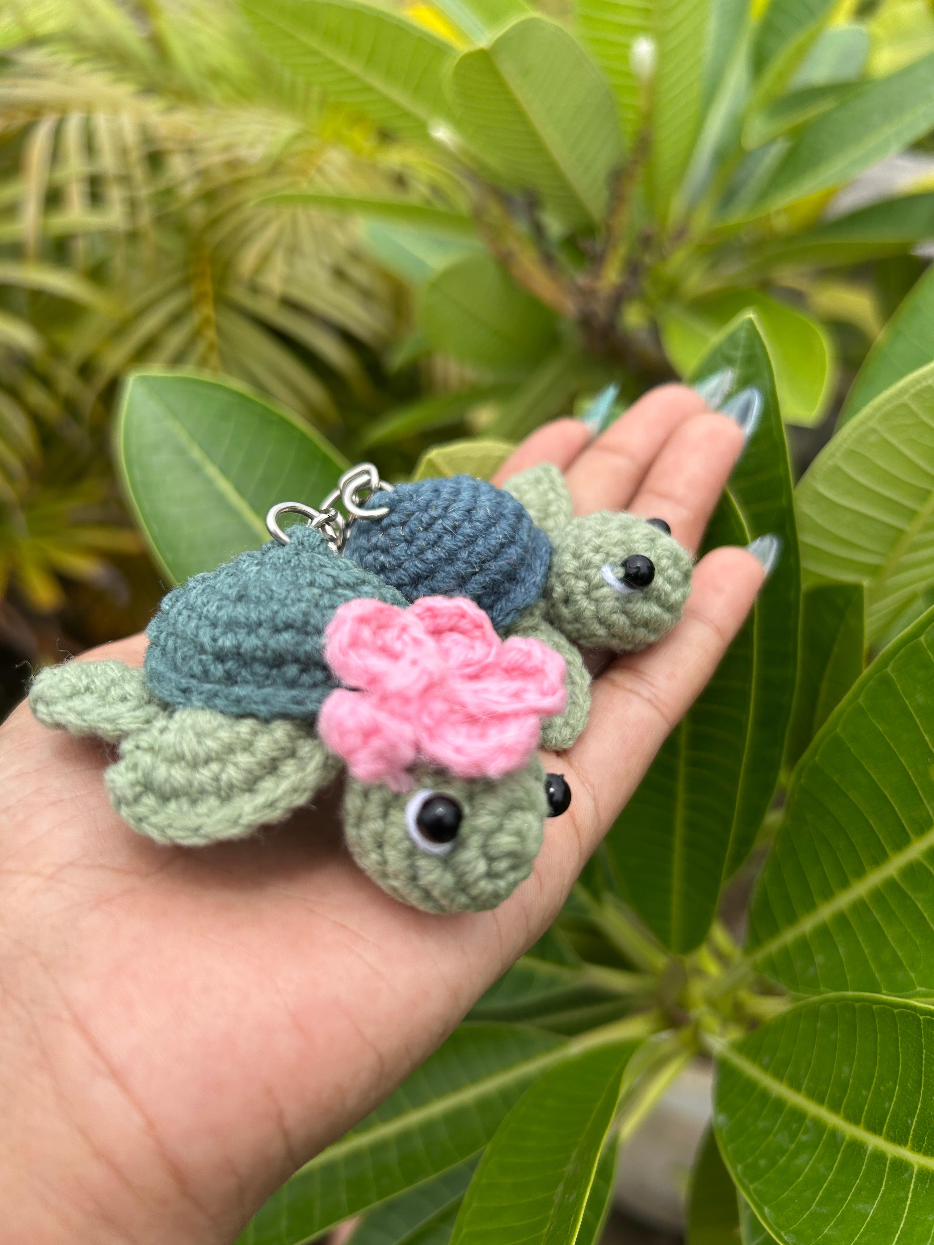 Tiny Turtle Duo