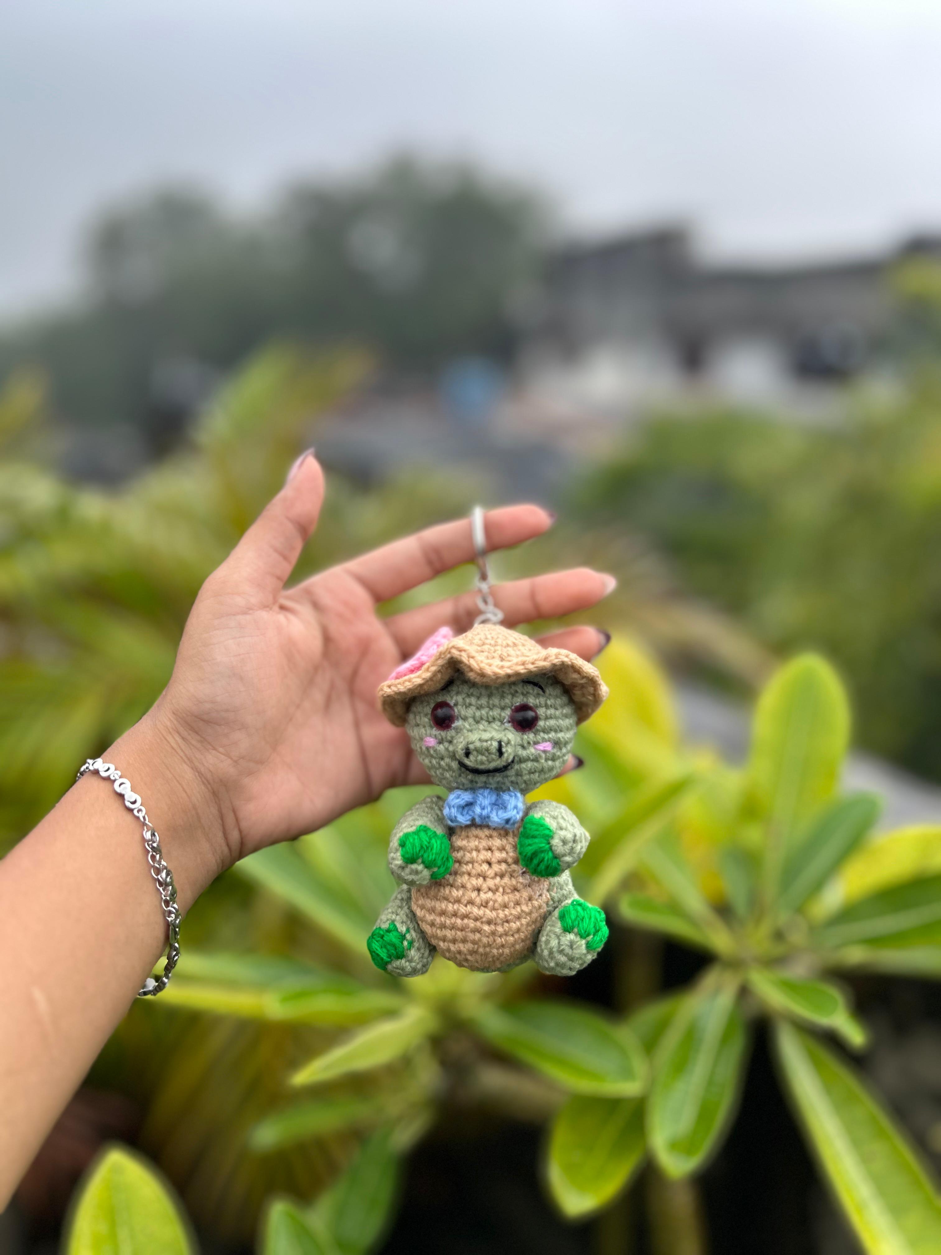 Straw Hat Turtle
