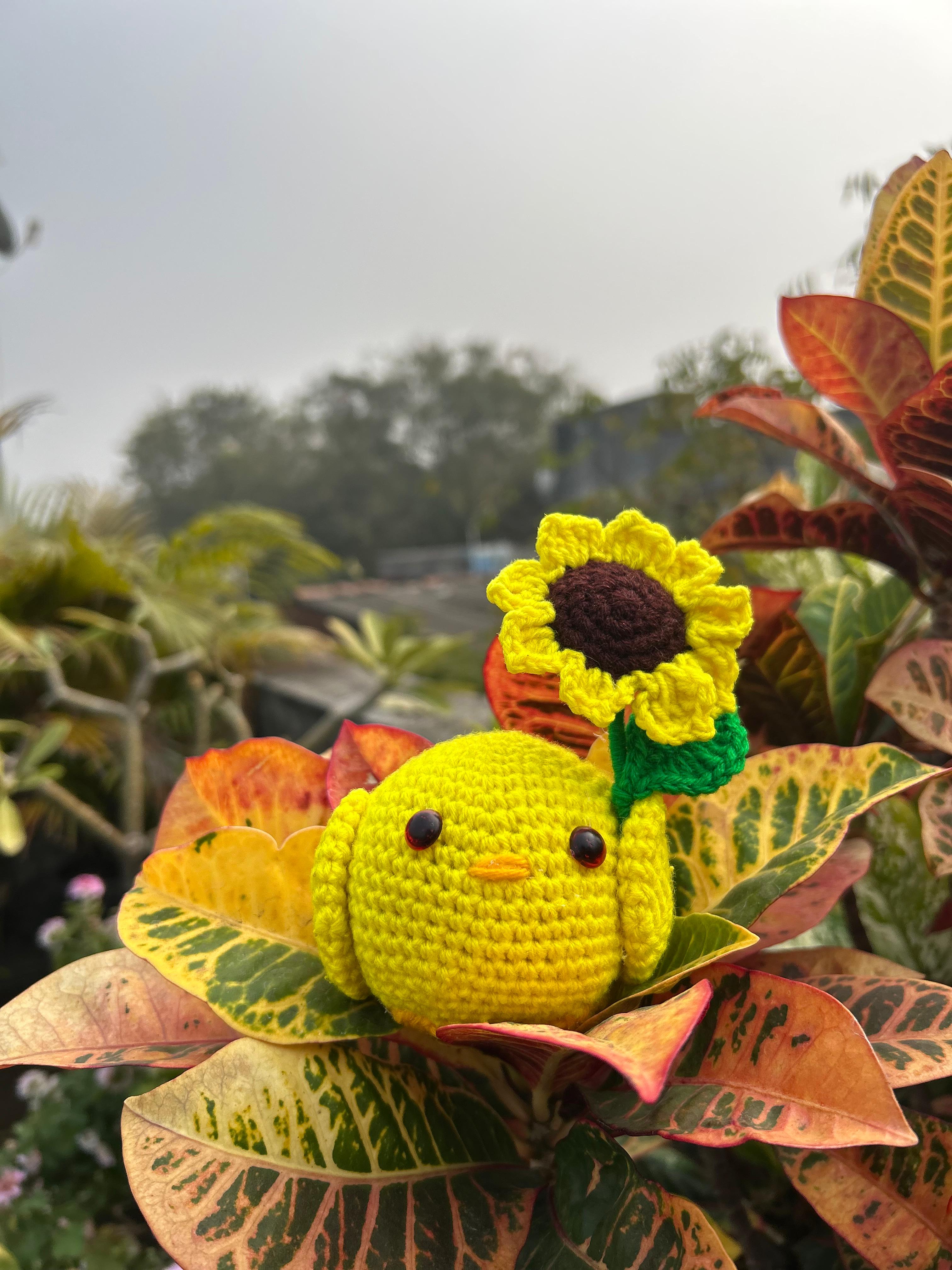 Sunflower Chick